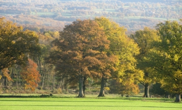 le paysage Creusois en Octobre