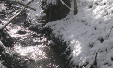 ruisseau en décembre