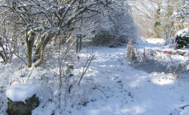 jardin de lune en neige